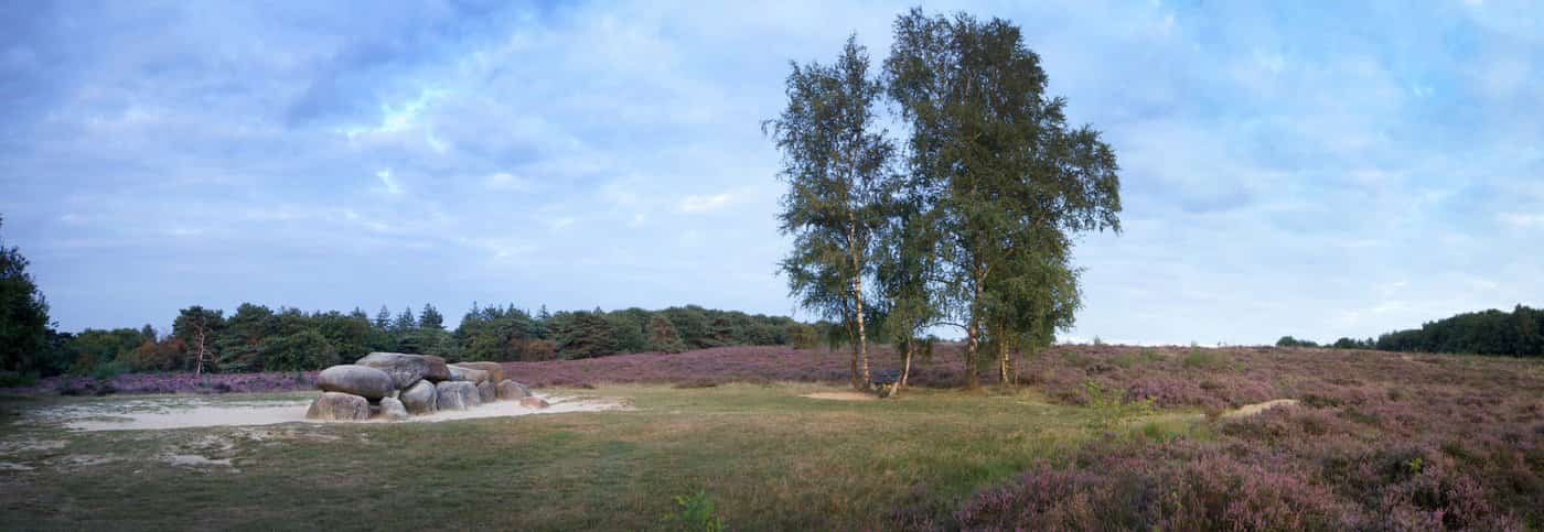 Bijzonder overnachten in Drenthe: Lodge De Heide van Huis ter Huynen, omringd door de Drentse natuur bij Zeijen