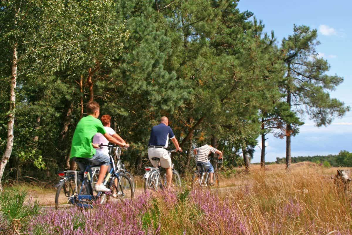 Fietsen klaar voor vertrek bij een lodge in Drenthe, startpunt voor fietsroutes rond Zeijen