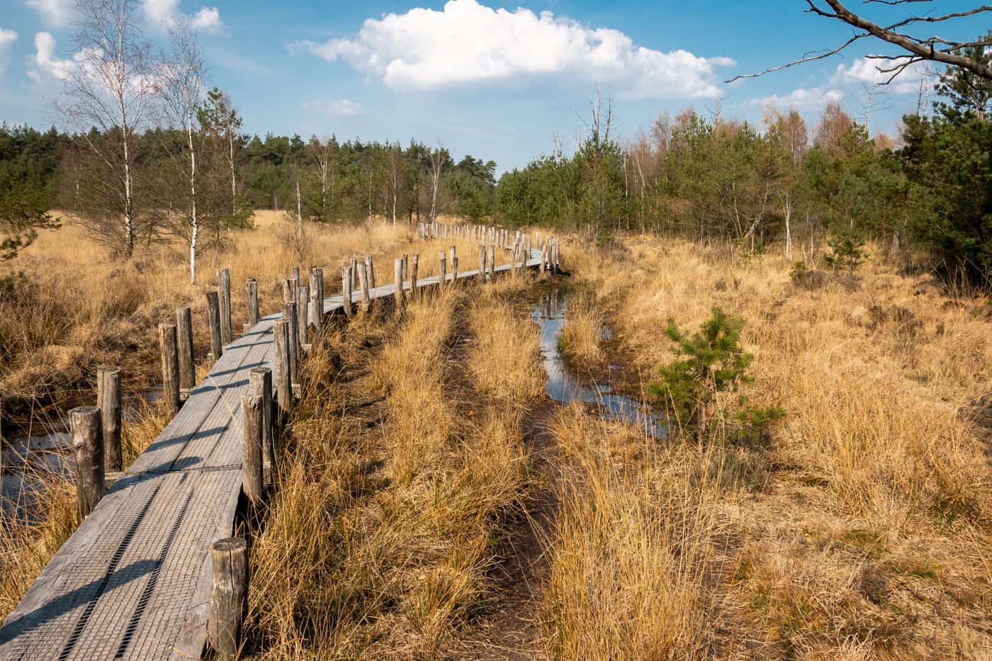Wandel- en fietspad door de Drentse natuur tussen Zeijen en Norg